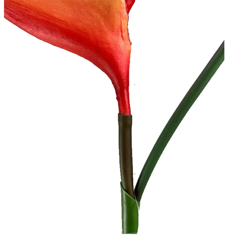 Fire Phoenix058x7