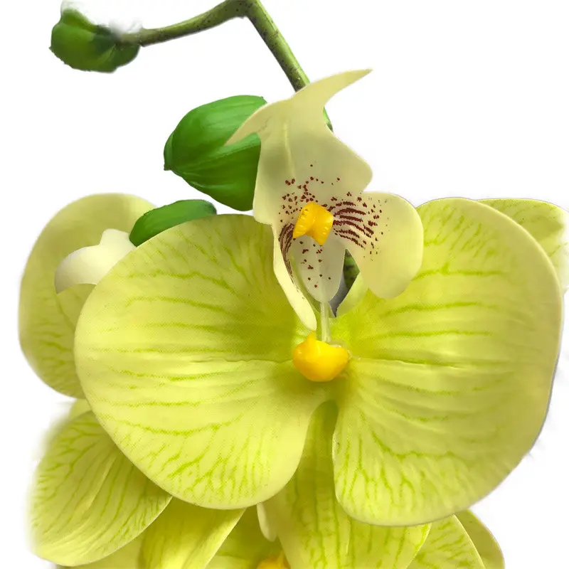 Phalaenopsis artificial flower04qwa