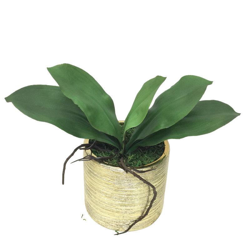 Factory Direct Highly Simulated Butterfly Orchid Leaves