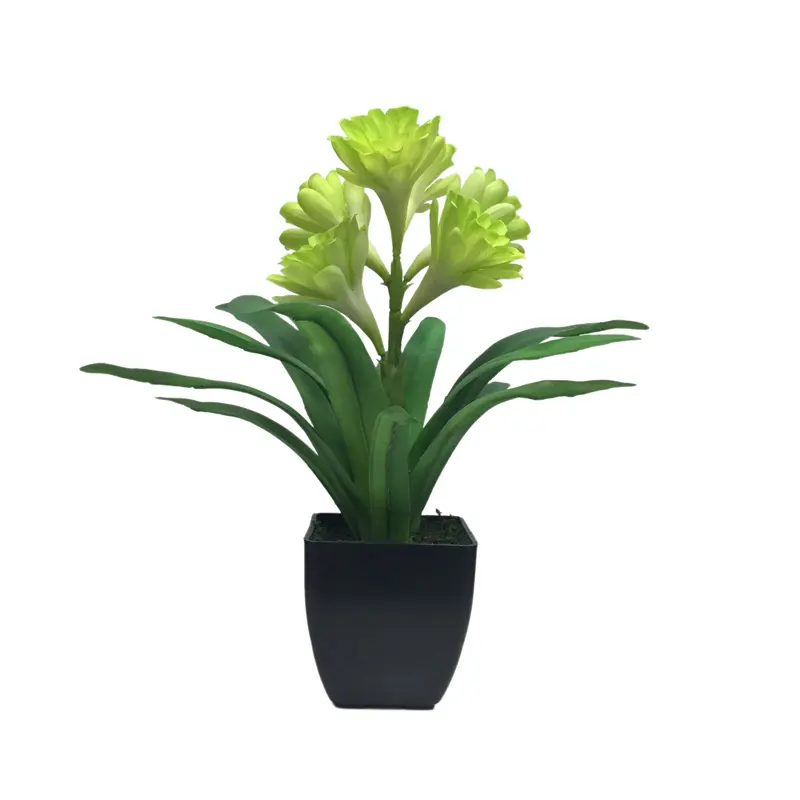 Leading Rubber Tuberose 6279 (5)l8p