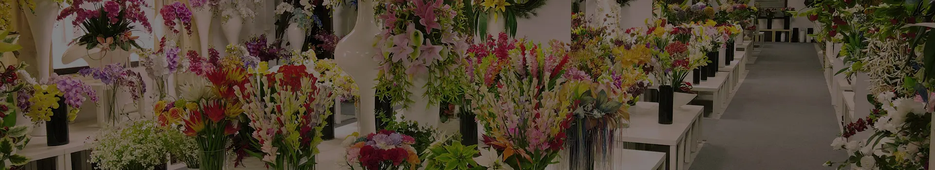 list_banner1emi