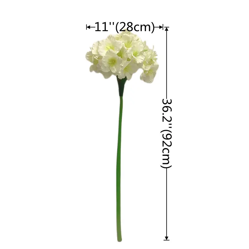 dfg494