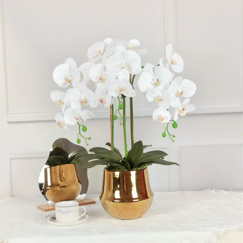 Factory Supplier of High-Quality Phalaenopsis Artificial Flower1123qmv