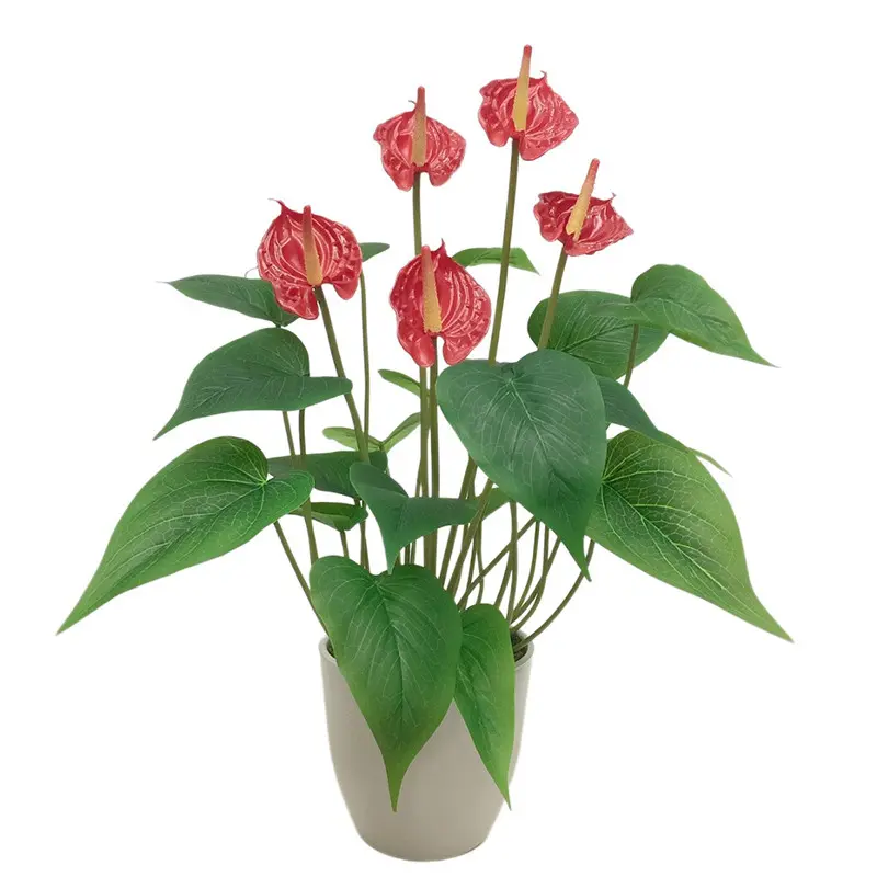 Factory-Made Anthurium Bonsai: High Simulation, Waterproof, ODM Available