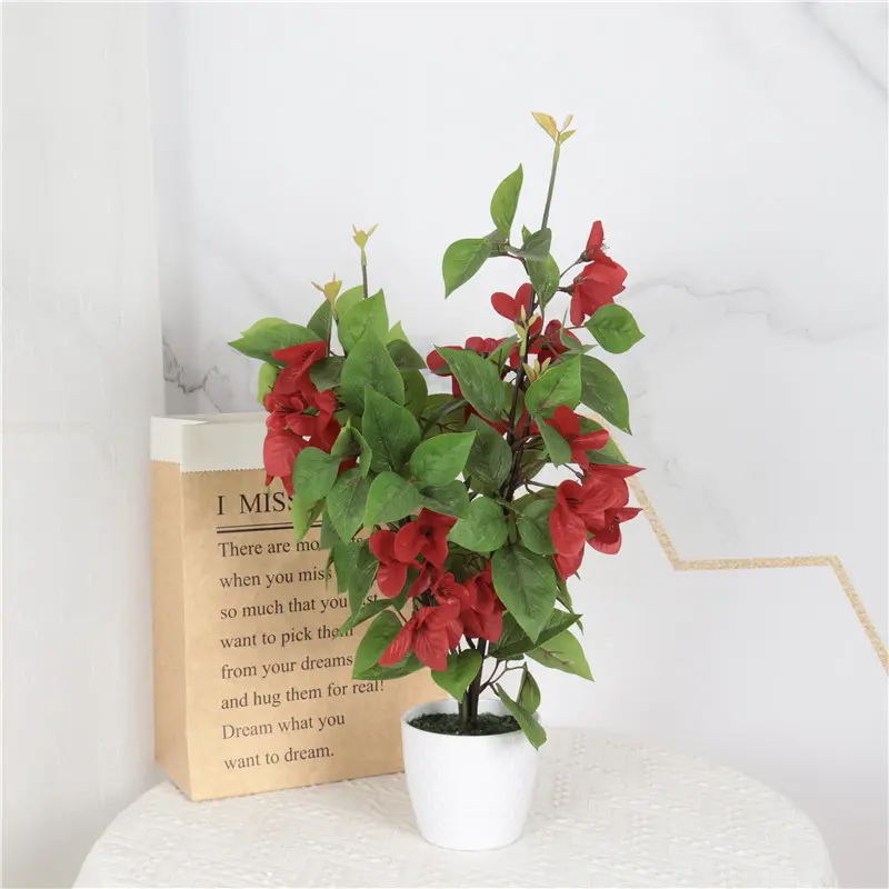 High Quality Delphinium Bonsai: Factory Direct Supplier