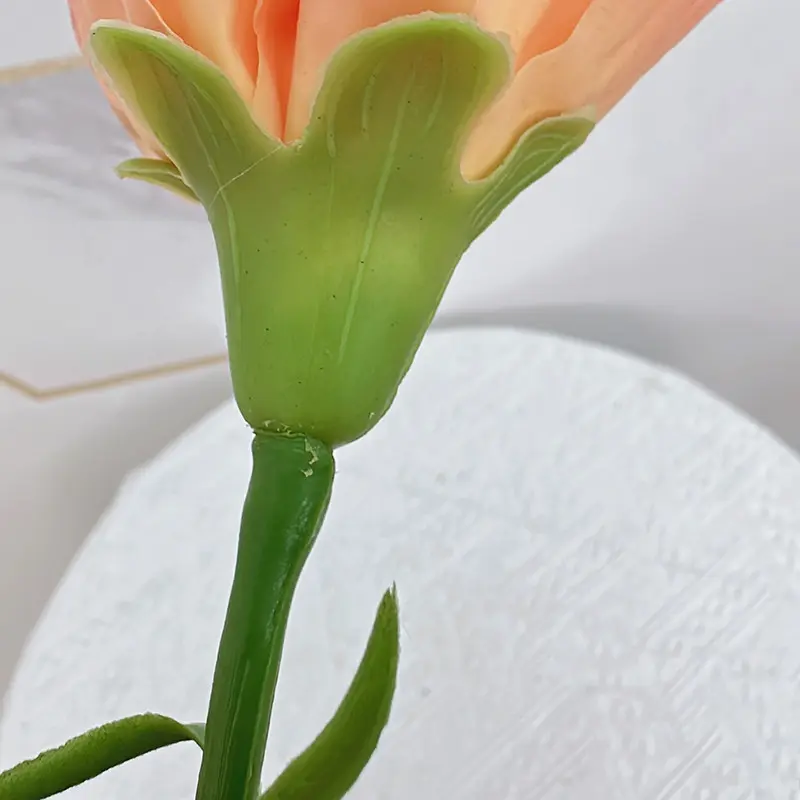 Simulation Carnations(3)2pe