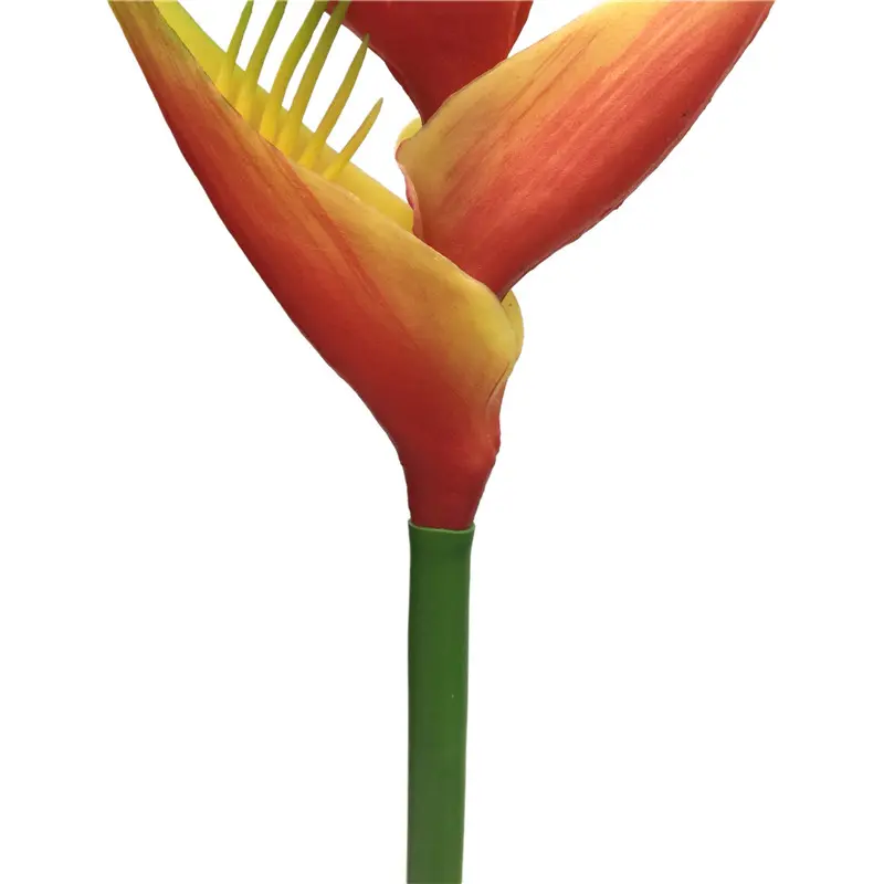 Fire Phoenix01m6t