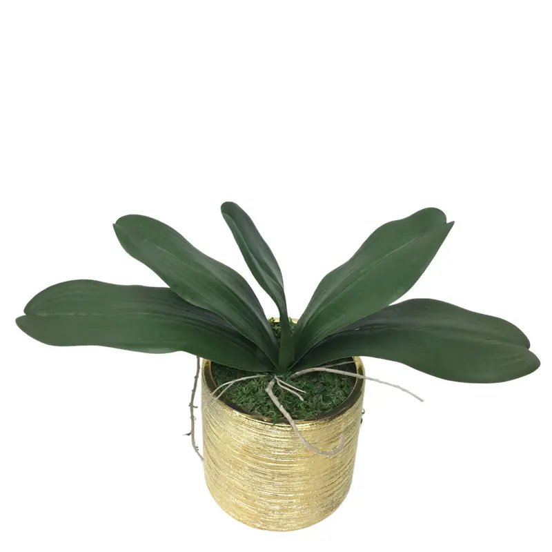 Factory Direct Highly Simulated Butterfly Orchid Leaves