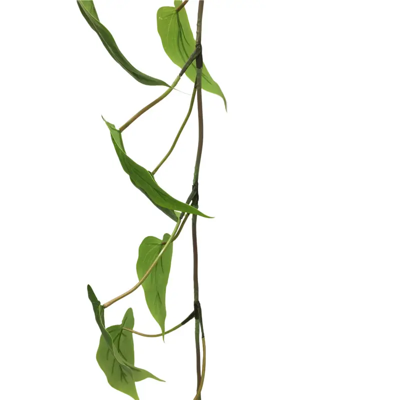 high simulation anthurium vine13 (1)n0o