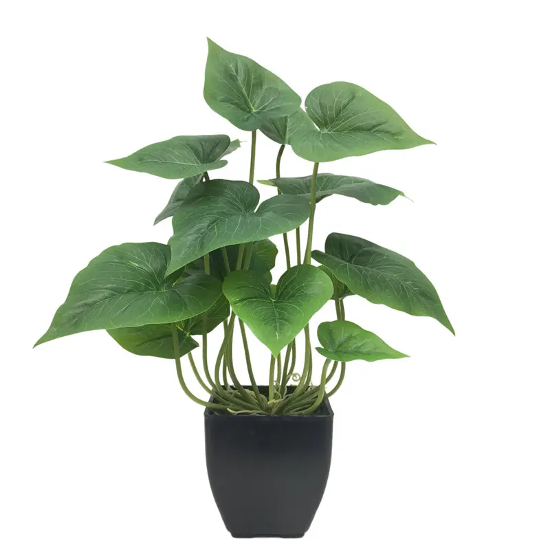 Factory Direct High Simulation Anthurium Leaf Bonsai