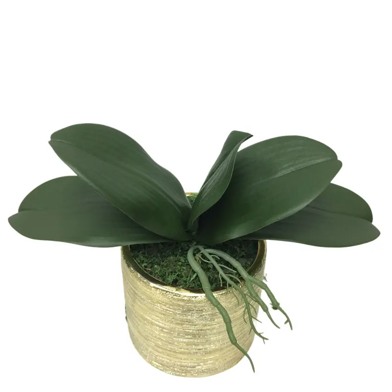 Factory Direct Highly Simulated Butterfly Orchid Leaves