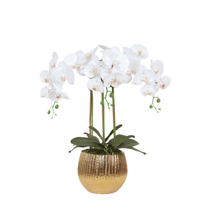 Factory Supplier of High-Simulation Phalaenopsis Bonsai