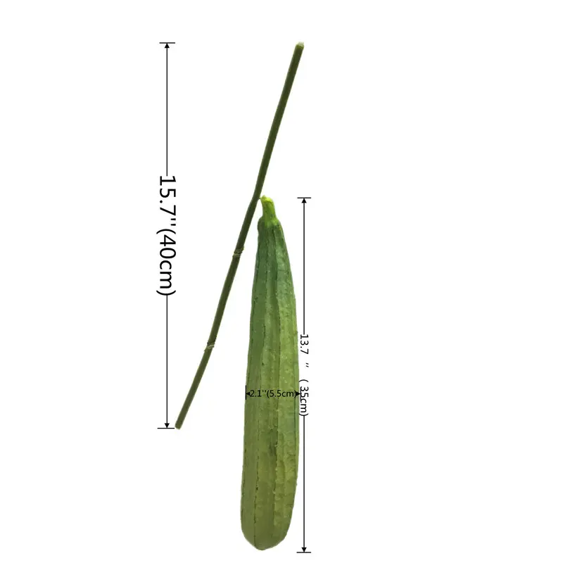 High-Quality PU Simulated Loofah Manufacturers