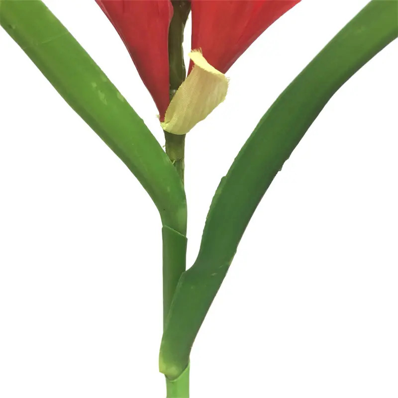 Leading Rubber Tuberose 6059-1 (9)wop