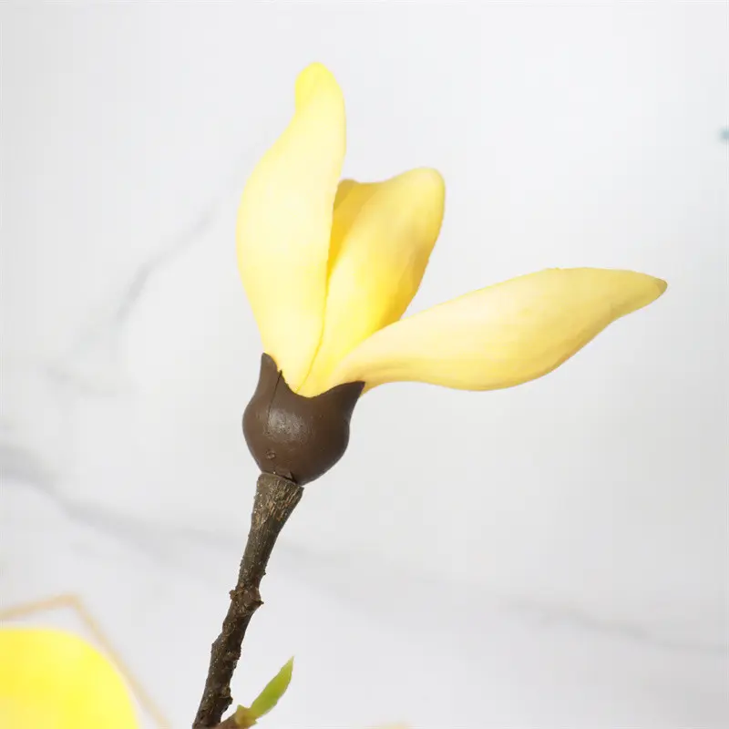 Direct Simulated Magnolia 6077 (8)20if