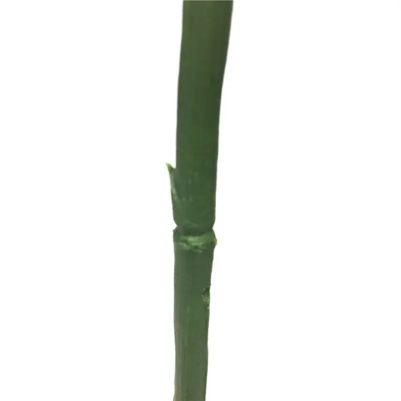 PVC Bird of Paradise Leaf 2345 (3)gun