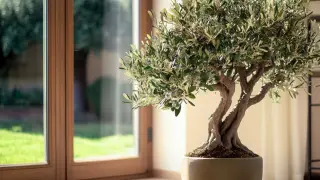 10 Compelling Reasons to Choose Fake Olive Trees for Your Business