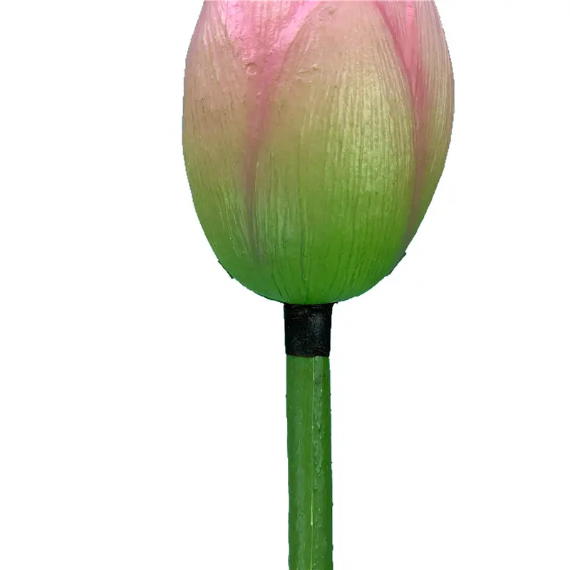 High-touch PVC Lotus Fruit02giu